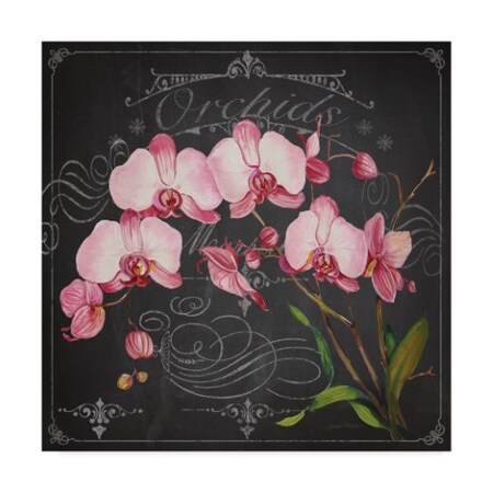 Trademark Fine Art Jean Plout 'Orchids Charcoal 2' Canvas Art, 24x24 ALI37526-C2424GG